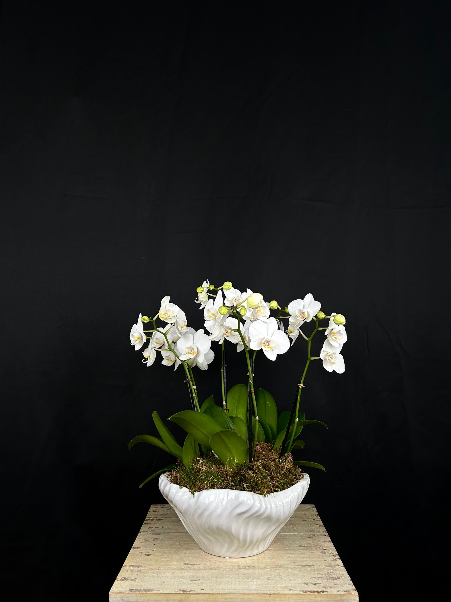 Pearl White